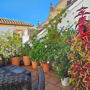  Apartamento Descalzos ángel España